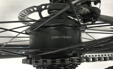 Electric Bike Motor