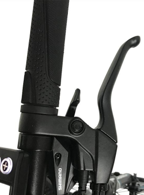 Electric Bike Shimano 3